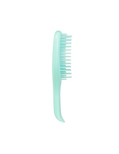 Tangle Teezer Mini Nass Detangler Minze 2