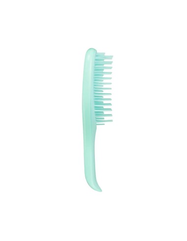Tangle Teezer Mini Nass Detangler Minze
