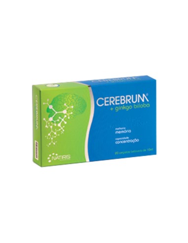 Großhirn Gingko Biloba 30 Kapseln