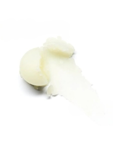 Eucerin Duo LipActiv 8g
