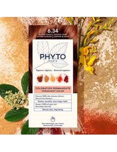 Phyto Color Permanente Haarfarbe mit Pflanzenpigmenten 6.34 Intensives Dunkelkupferblond 2