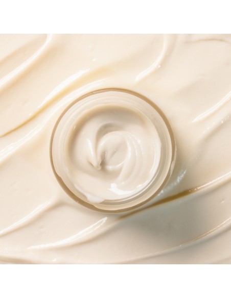 Freshly Caring Microbiome Smart Deodorant 40ml Freshly Caring Microbiome Smart Deodorant 40ml