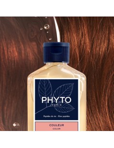 Phyto Color Farbpflege Shampoo 100ml 2