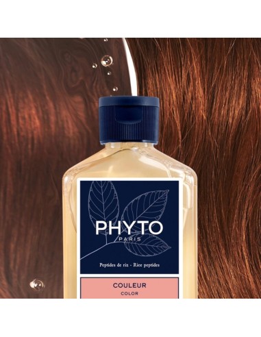 Phyto Color Farbpflege Shampoo 100ml