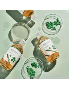 Round Lab Mugwort Calming Toner 300ml 2