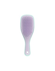 Tangle Teezer Mini Nass Detangler Mint / lila