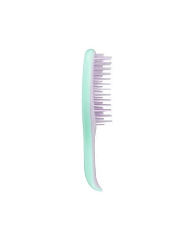 Tangle Teezer Mini Nass Detangler Mint / lila