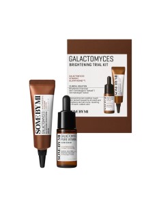 Some By Mi Galactomyces Brightening Trial Kit