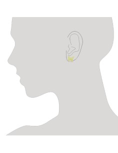 J & Rio Spirit Schmetterling Ohrringe Gold 2