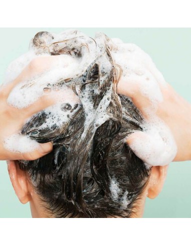 Clarins Festes Shampoo 100g