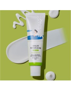 Round Lab Birch Juice Mild Up Sonnenschutz SPF50 50ml 2