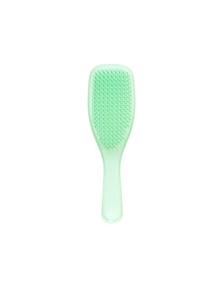 Tangle Teezer Nass Detangler Fein und fragile Minze Tangle Teezer Nass Detangler Fein und fragile Minze