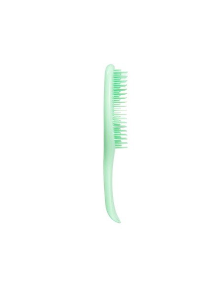 Tangle Teezer Nass Detangler Fein und fragile Minze Tangle Teezer Nass Detangler Fein und fragile Minze