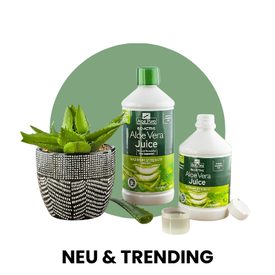 NEW & TRENDING